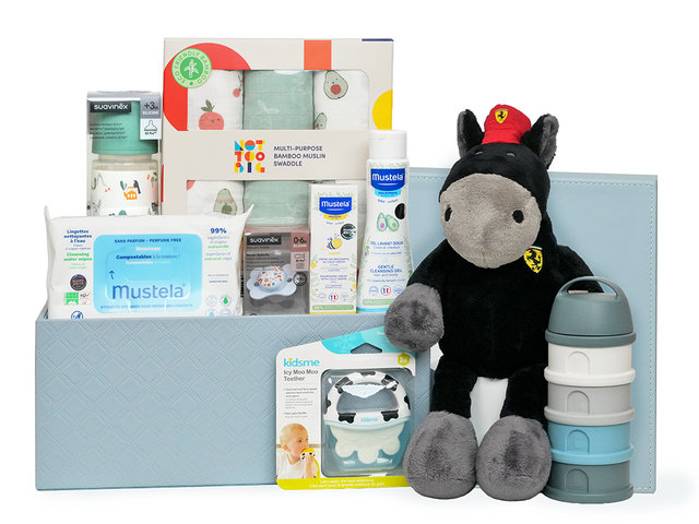 BB婴儿礼物 - NICI x 法拉利马公仔婴儿礼篮 NB34 - B30107A1 Photo