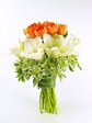 Bridal n Wedding Silent Beauty Bridal n Wedding P0558