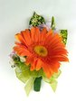 Event Pocket Flower Boutonniere/Corsage (K) Event Pocket Flower P0870