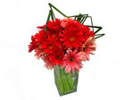Florist Flower Arrangement Flower in Vase 8 Florist Flower Arrangement L35395