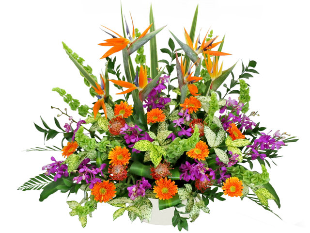 Florist Flower Arrangement - Congratulations Florist Decor AB21 - L76602385 Photo