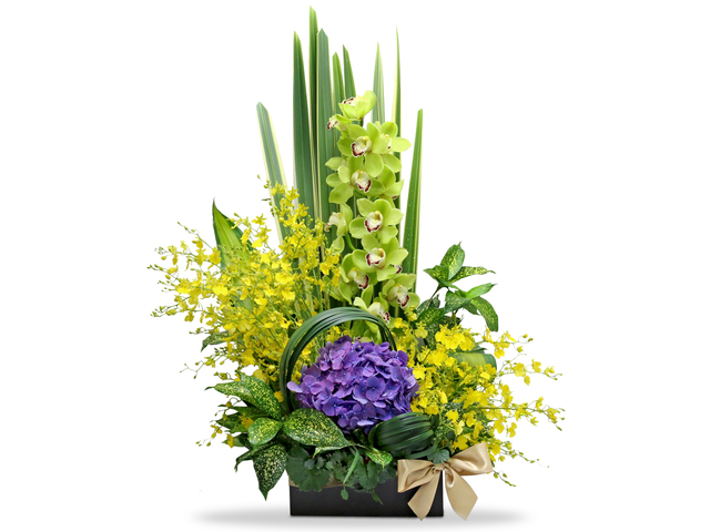 Florist Flower Arrangement - Green Cymbidium Forist Box A19 - L76605240 Photo
