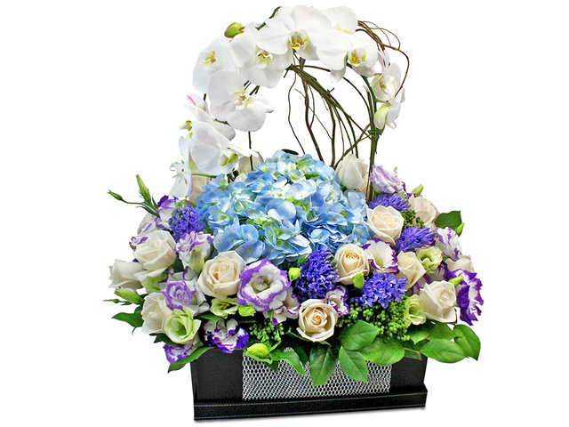 Florist Flower Arrangement - White Orchid Flower Box Decor T11 - L0196209 Photo