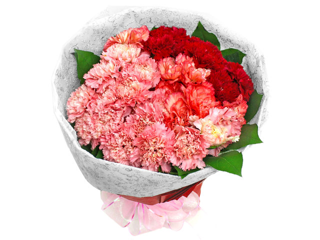 Florist Flower Bouquet - 30 Carnations Bouquet - L06846 Photo