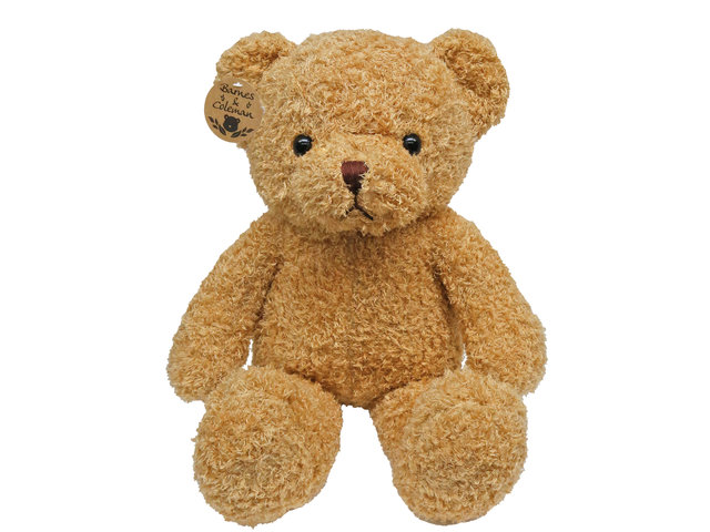 Florist Gift - Barnes & Coleman Fat Bear - L175579B Photo