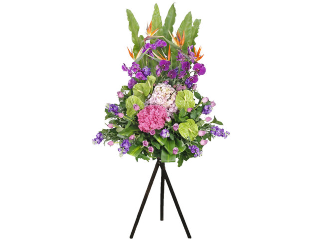 Flower Basket Stand - Classical Orchid Florist Stand D13 - L76610433 Photo