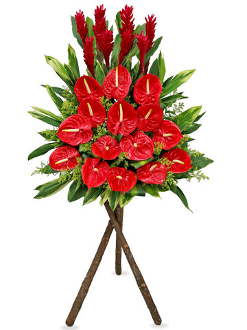 Flower Basket Stand - Congratulations Florist stand AK12  - L36668280 Photo
