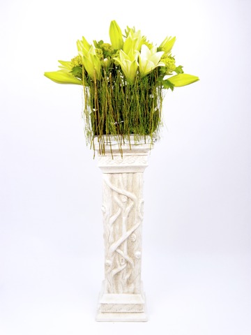 Flower Basket Stand - Ray of Light - P4377