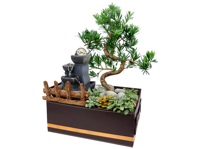 Flower Shop Plants - Zen With Buddhist Pine And Flowing Water Furnishing SS01 - PT0620A1 Photo