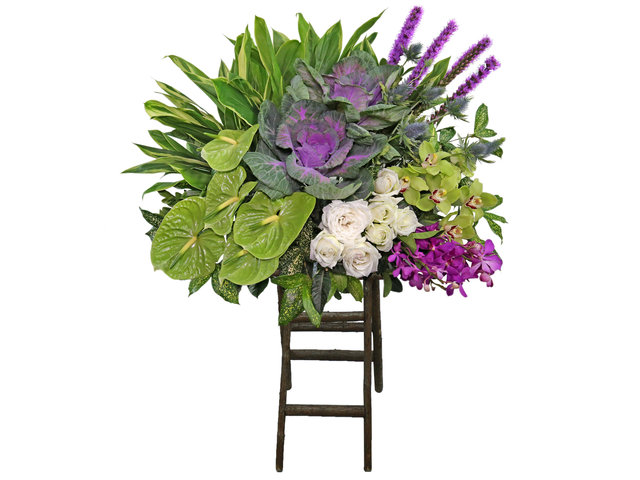 Funeral Flower - Green Cymbidium florist stand CL07 - L1541 Photo