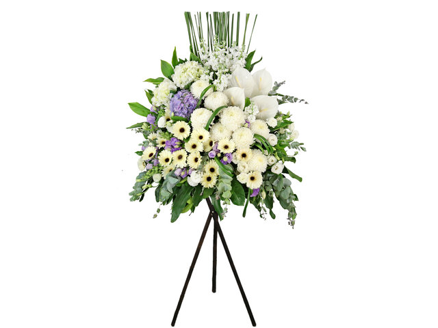 Funeral Flower - Italy florist arrangement Collection DA5 - L8698 Photo