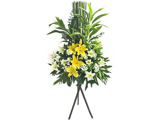Funeral Flower - Value Memorial Flower Basket 9 - L50434 Photo