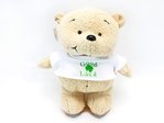 Gift Accessories Good Luck teddy Gift Accessories L24678