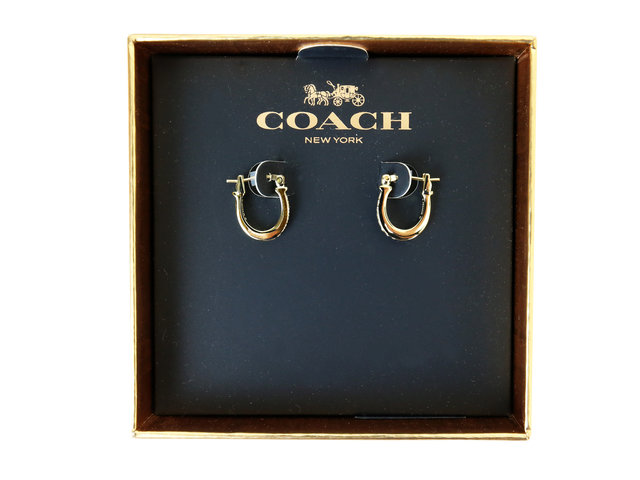 Gift Accessories - Coach Ear Ring - CN0528A3 Photo