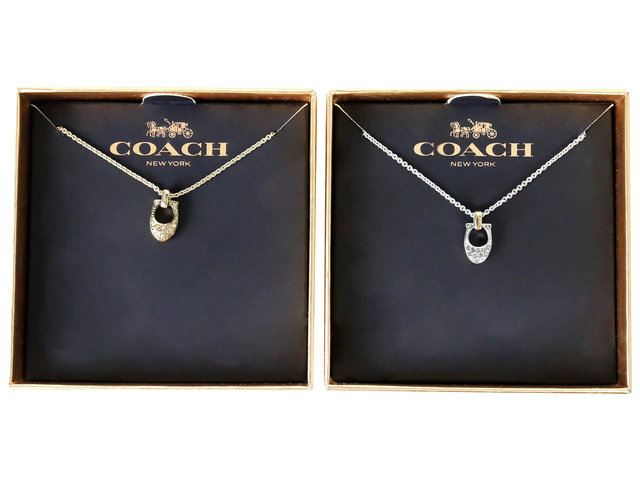 Gift Accessories - Coach Necklace - CN0528A1 Photo