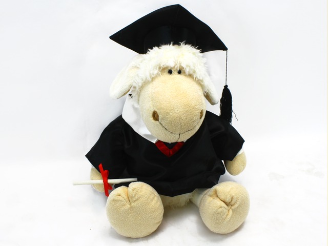 Gift Accessories - Sheep Graduation Doll - L19863 Photo