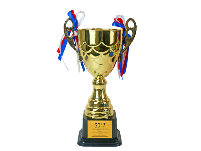 Handmade Memorabilia - Dinner party/School/Corporate/Government gold custom Trophy Cup - L44000100 Photo