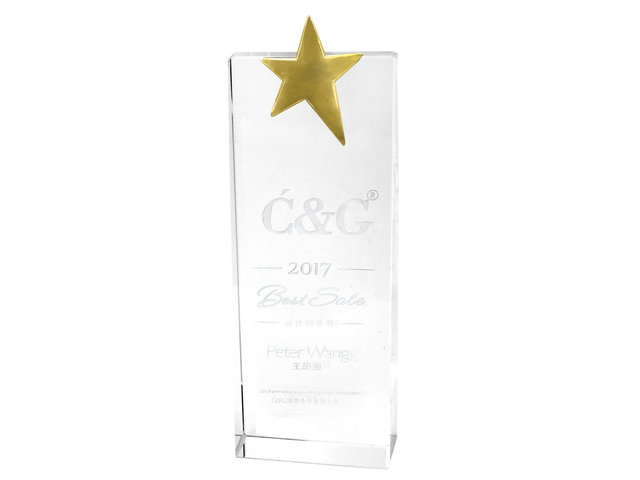 Handmade Memorabilia - School/Corporate/Government/Celebration customized crystal award, glass trophy - L45000088 Photo