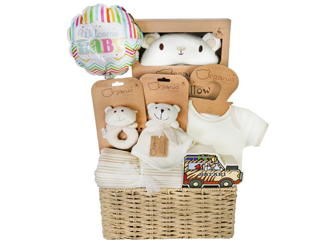 New Born Baby Gift - Baby Hampers B3 - BY1026B3 Photo