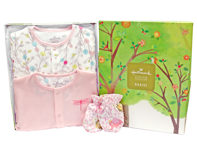 New Born Baby Gift - Hallmark baby clothes gift set - L3666869 Photo