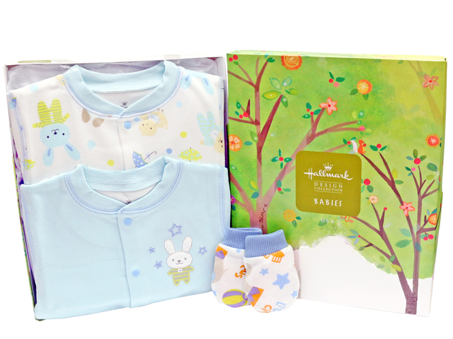 New Born Baby Gift - Hallmark baby clothes gift set - L36668696 Photo