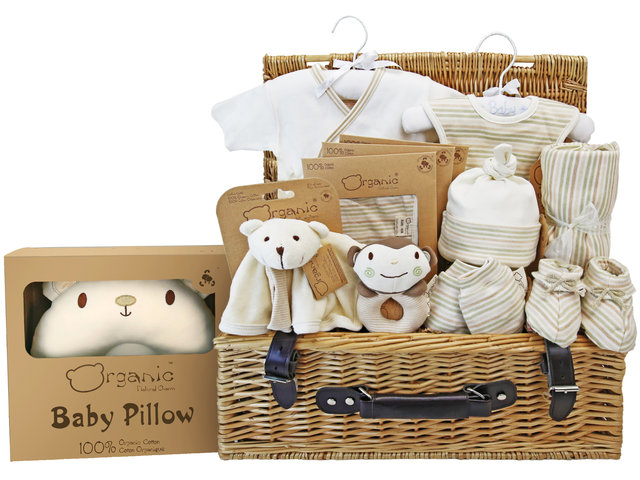 New Born Baby Gift - Natural Charm Organic Cotton Baby Gift hamper B2 - BY0302A1 Photo