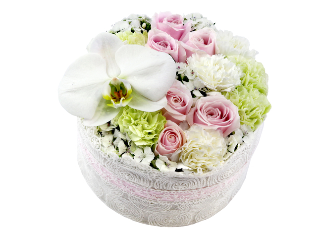 Order Flowers in Box - Carnations flower box 1 - L36514304 Photo