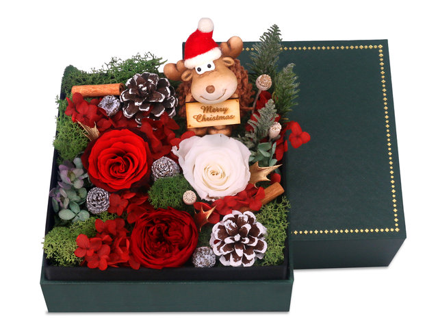Preserved Forever Flower -  Christmas preserved flower gift box M61 - PR1108A3 Photo