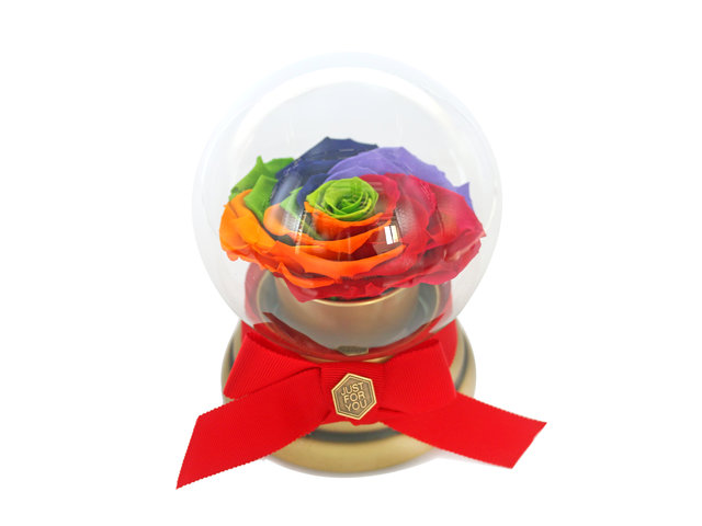 Preserved Forever Flower - 360 Degree Rotating Rainbow Rose Music Box M56 - L45000091 Photo