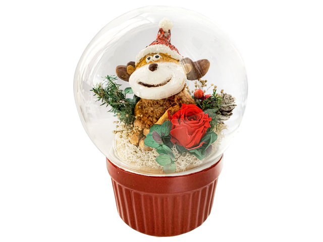Preserved Forever Flower - Christmas Preserved Flower Music Box M62 - PS1206A1 Photo