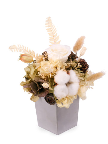 Preserved Forever Flower - Simplicity preserved flower decoration  0929A2 - PX0929A2 Photo