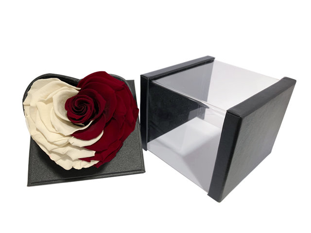 Preserved Forever Flower - Two-color Tone Preserved Flower box A6 - A6 Photo