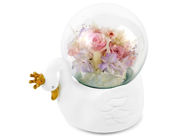 Preserved Forever Flower - White Swan Glass Music Box M55 - L44000092 Photo