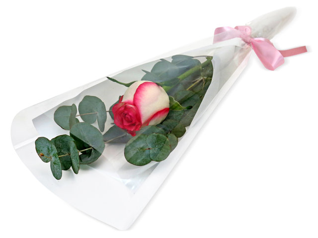 Single Stem Flower - single rose stem 02 - SS0306A2 Photo