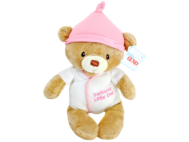 Teddy Bear n Doll - Baby GUND Bear(Girl) - L116474 Photo