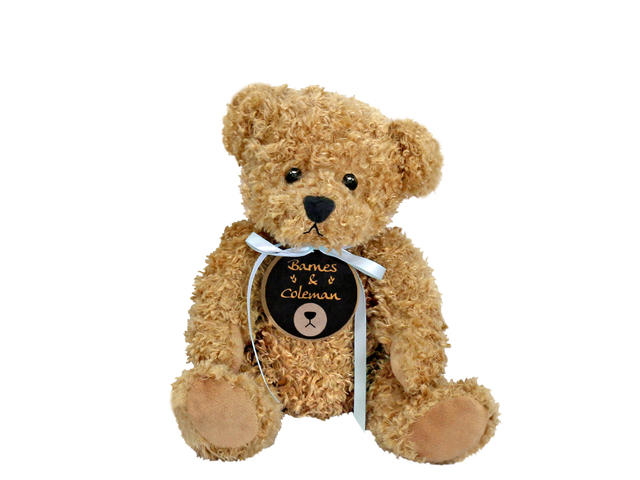 Teddy Bear n Doll - Barnes & Coleman Bashful Baby Bear - L36667662 Photo