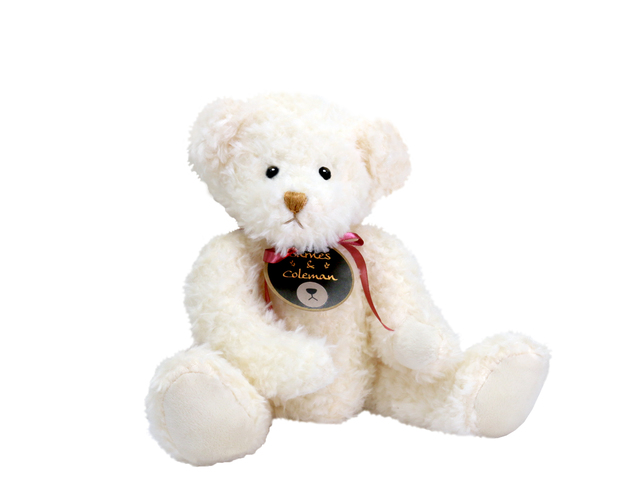Teddy Bear n Doll - Barnes & Coleman Bashful White Baby Bear - L36667664 Photo