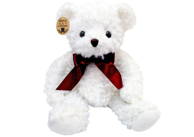 Teddy Bear n Doll - Barnes & Coleman Classic White Teddy Bear - L98576 Photo