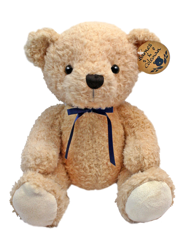 Teddy Bear n Doll - Barnes & Coleman Light brown Teddy Bear - L177231 Photo