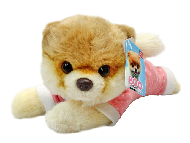 Teddy Bear n Doll - GUND Japan Boo Shunsuke Baby Girl  - L181414 Photo