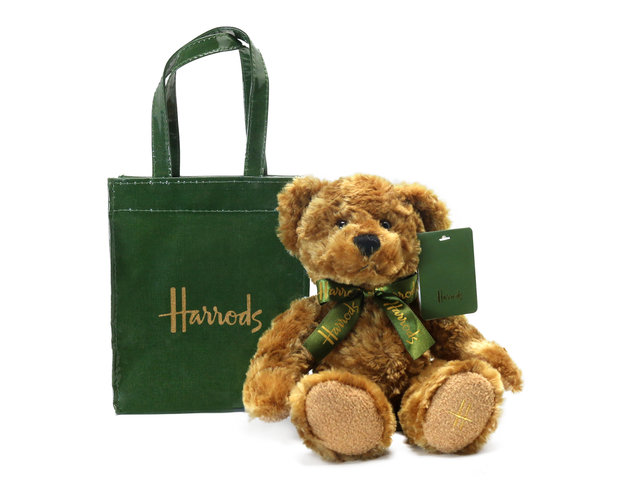 Teddy Bear n Doll - Harrods Bear In A Green Bag - L76610017 Photo