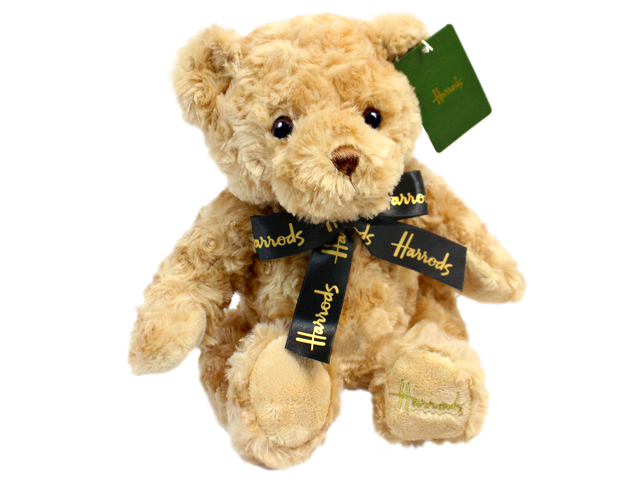 Teddy Bear n Doll - Harrods Bear Jacob Bear - L153988 Photo