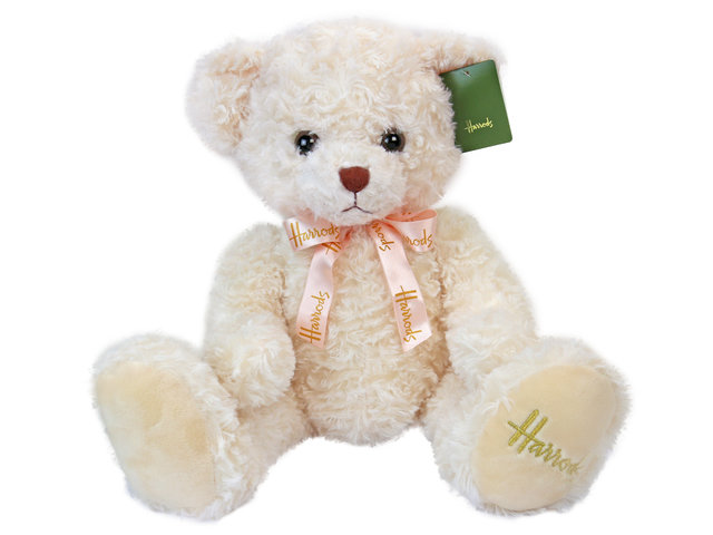 Teddy Bear n Doll - Harrods Classic Cream Bear - L2517 Photo