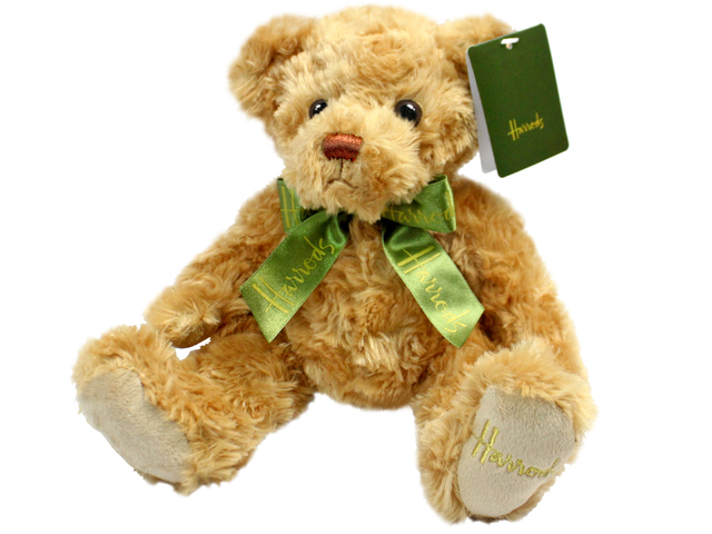 Teddy Bear n Doll - Harrods Frankie Bear - L153984 Photo