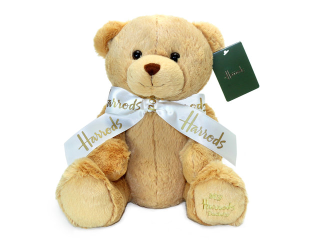 Teddy Bear n Doll - Harrods My Harrods Teddy Bear - L76609931 Photo