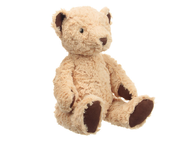 Teddy Bear n Doll - JellyCat Edward Bear  - L192275 Photo