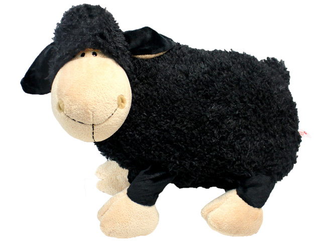Teddy Bear n Doll - Nici Black Sheep - L189814 Photo
