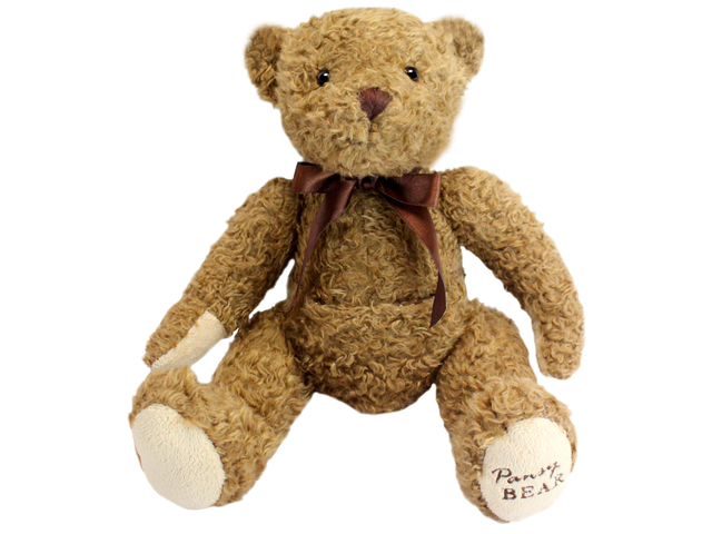 Teddy Bear n Doll - Pocket Bear(Brown) - L111880 Photo