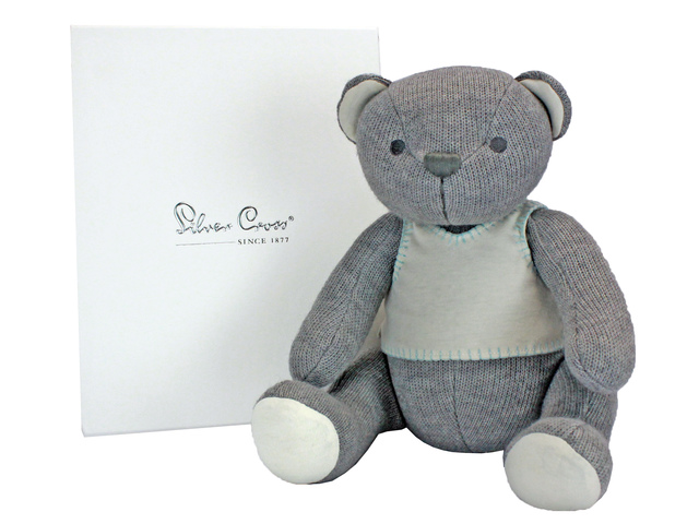 Teddy Bear n Doll - Silver Cross Richmond Bear - L136133 Photo
