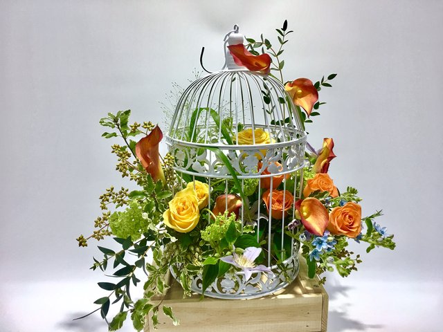 Weekly Import Flower - Limited Edition - The birdcage Flora Decoration LED06 - 1D0321A1 Photo